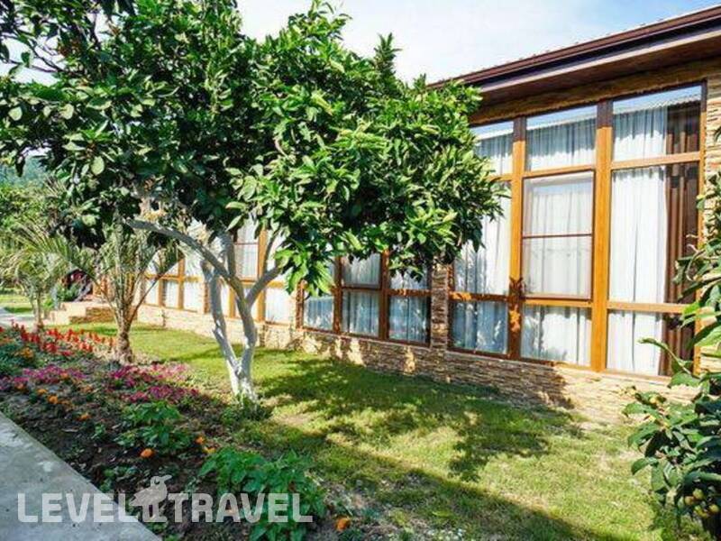 Фотография Green House Фотография Green House