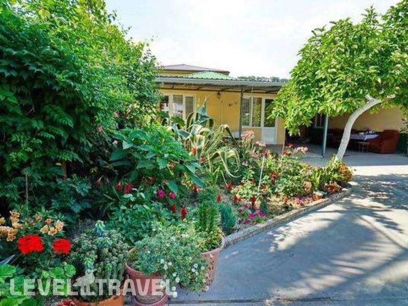 Фотография Green House Фотография Green House