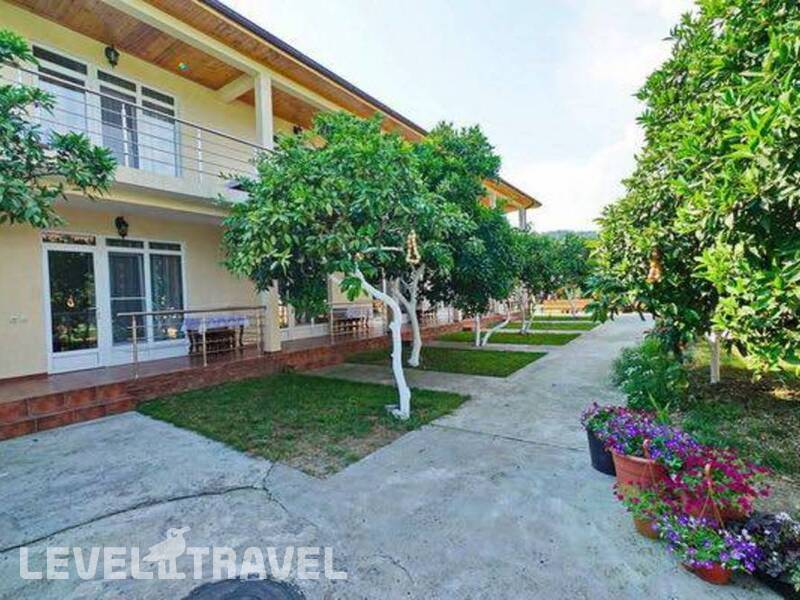 Фотография Green House Фотография Green House