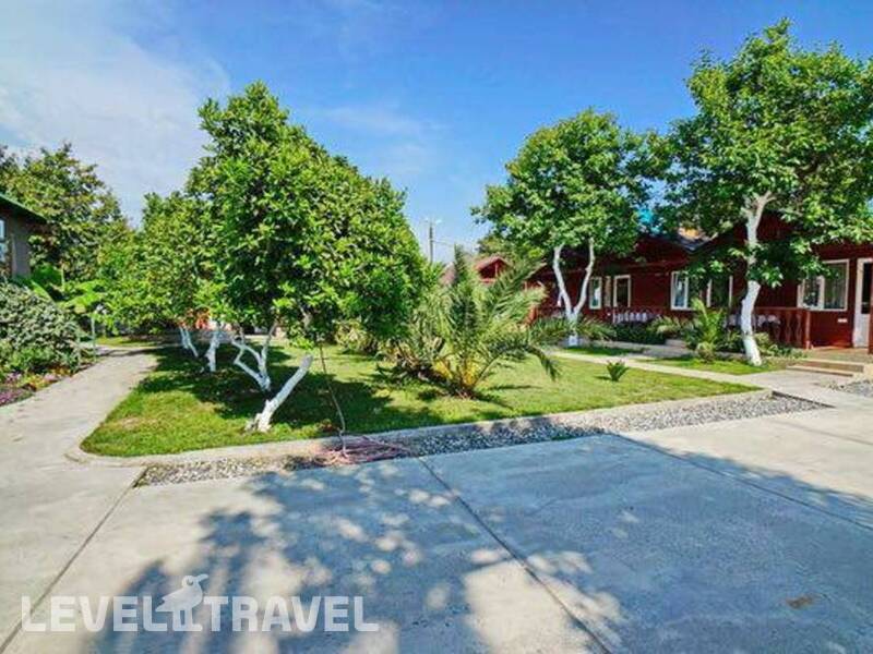 Фотография Green House Фотография Green House