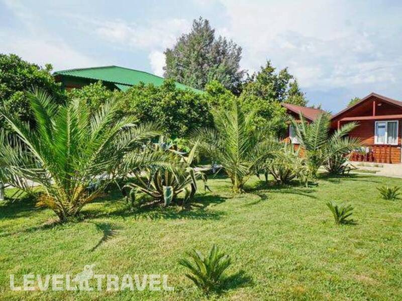 Фотография Green House Фотография Green House