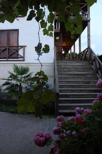Алаку (Alaku) Hotel