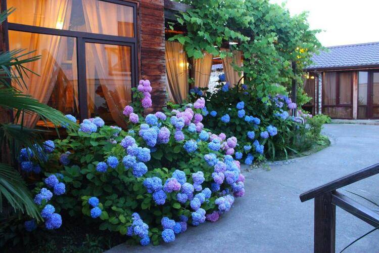 Алаку (Alaku) Hotel