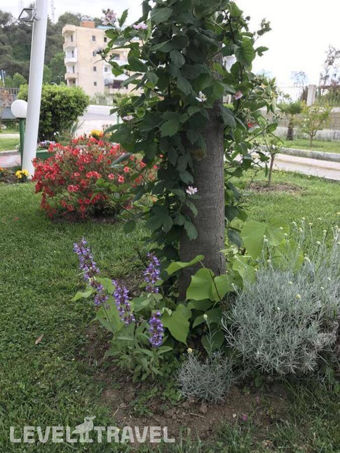Изображение отеля 4