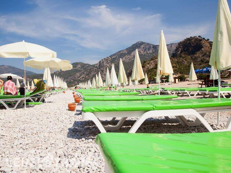Фотография Daisy Garden Resort Hotel