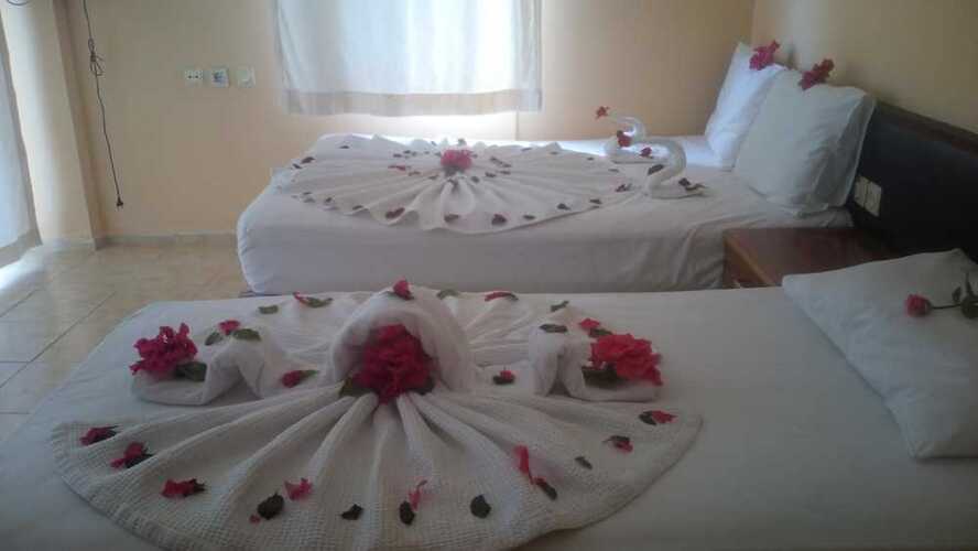 Rose Hotel