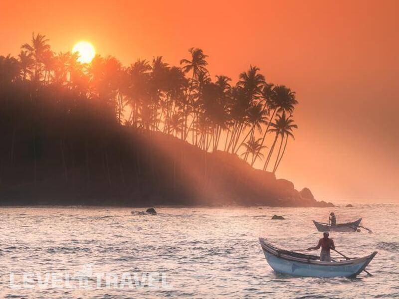 Фотография Fairway Sunset