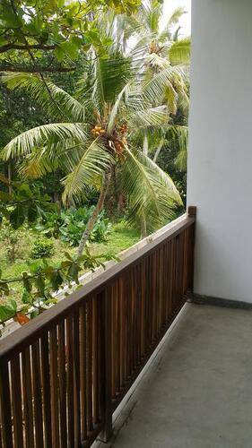 Green Almond Hotel