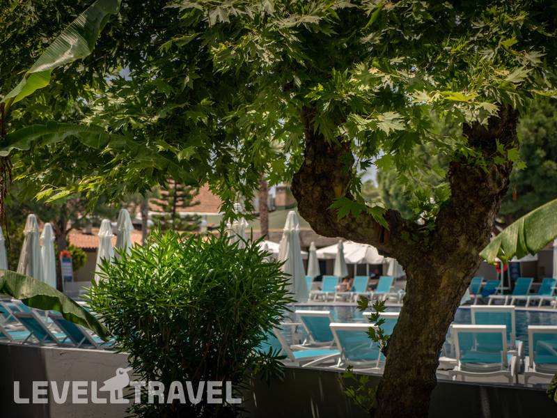 Фотография Master Family Club Hotel