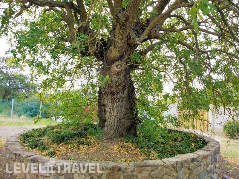 Фотография Пансионат Аквамарин