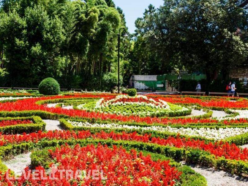 Фотография Gardenija
