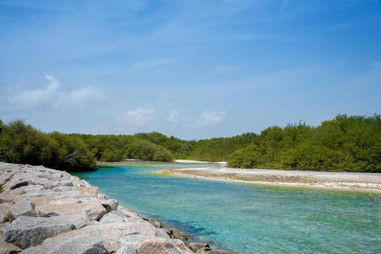 Reef Edge Thulusdhoo Guesthouse