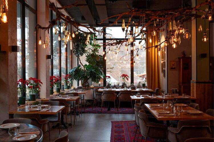 Hills Polyana Hotel — фото 8