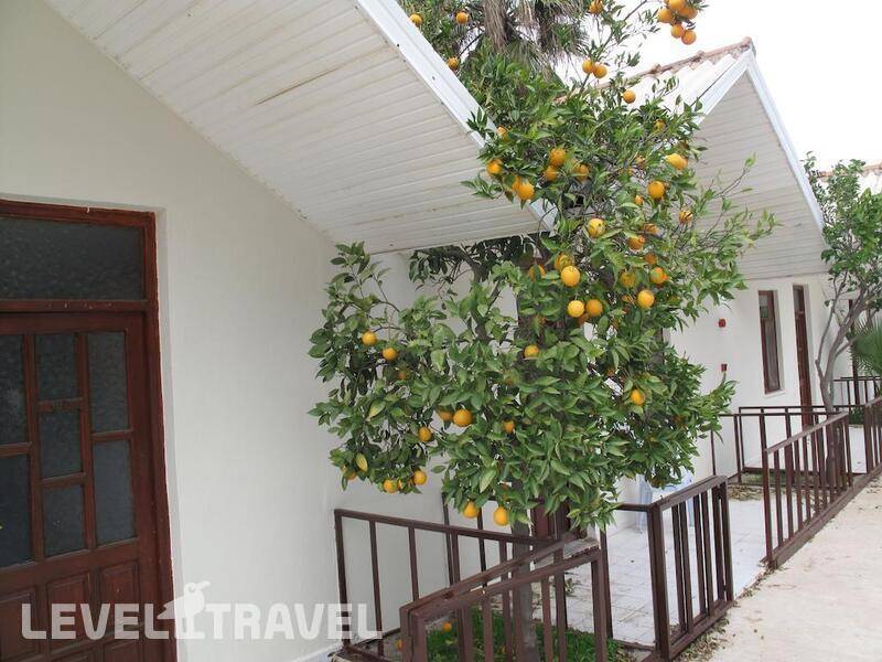 Фотография Dream Park Bungalow Hotel