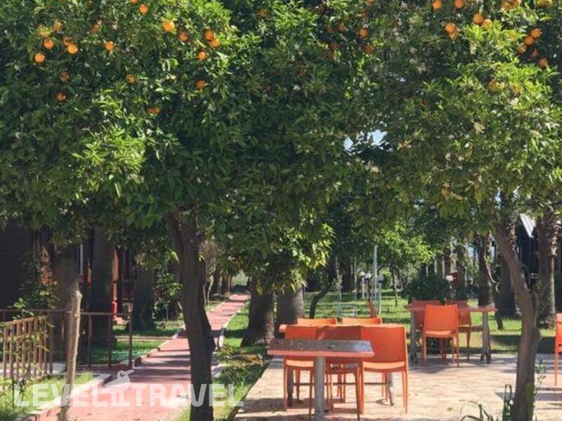 Фотография Dream Park Bungalow Hotel