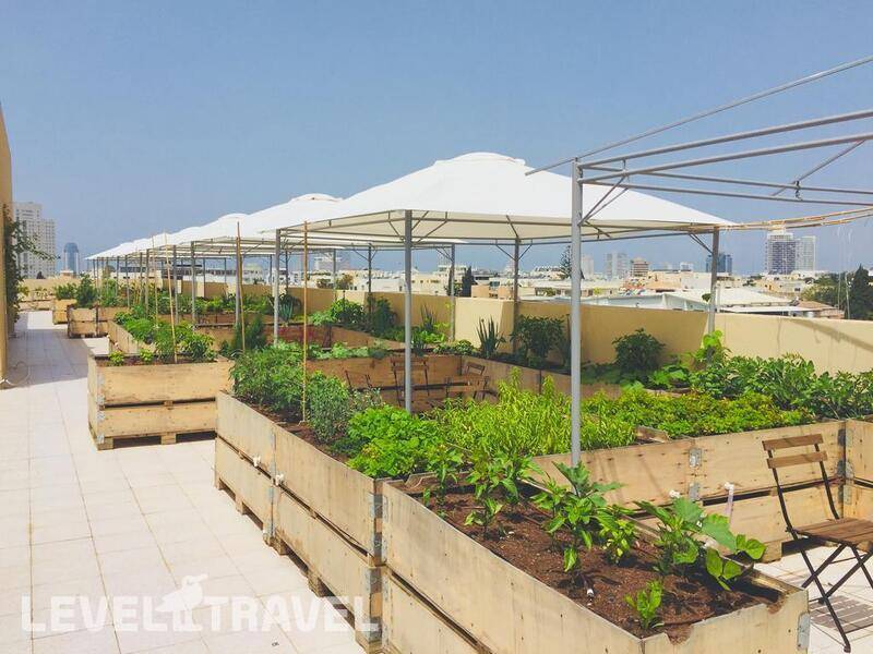 Фотография The Diaghilev Live Art Suites