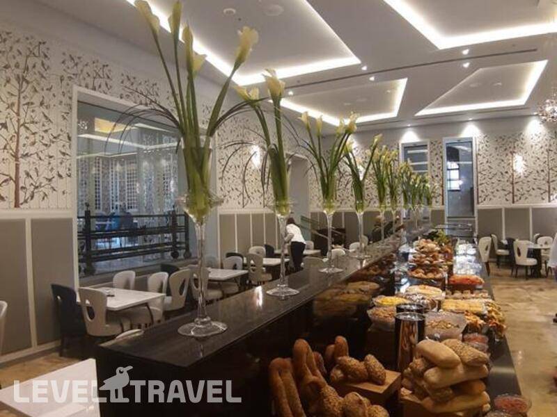 Фотография Lady Stern Фотография Lady Stern