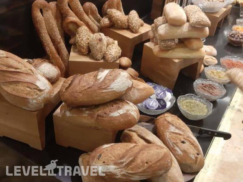 Фотография Lady Stern Фотография Lady Stern