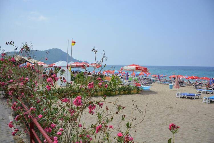 Kleopatra Dreams Beach