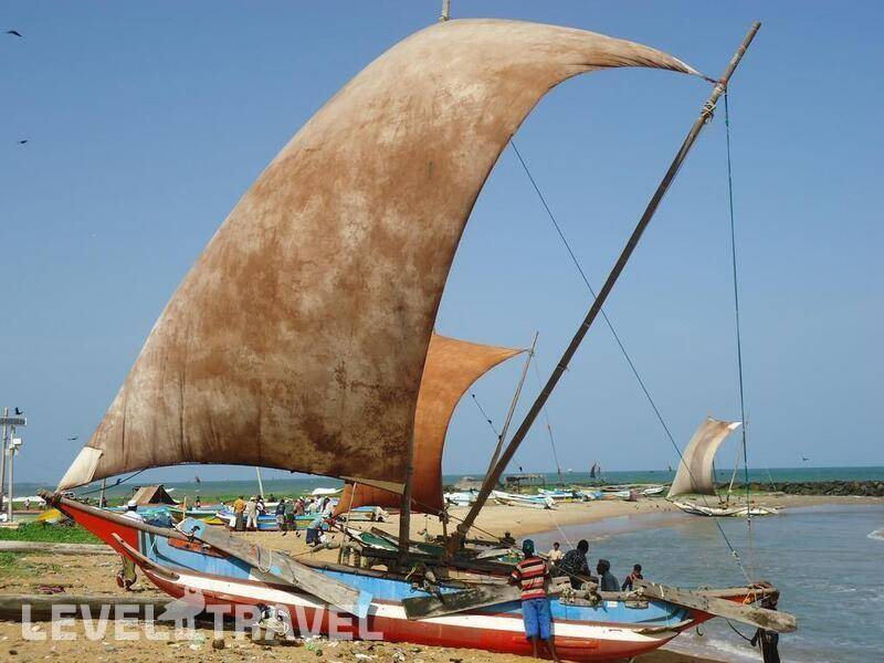 Фотография Ocean Pearl Hotel