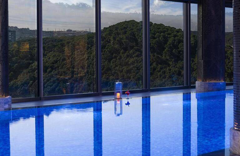 Radisson Blu Hotel Vadistanbul