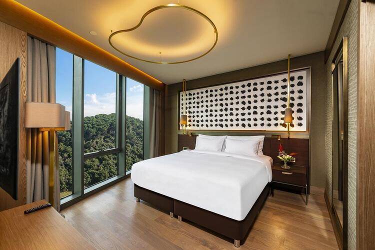 Radisson Blu Hotel Vadistanbul