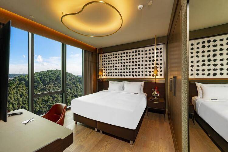 Radisson Blu Hotel Vadistanbul