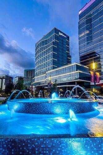 Radisson Blu Hotel Vadistanbul