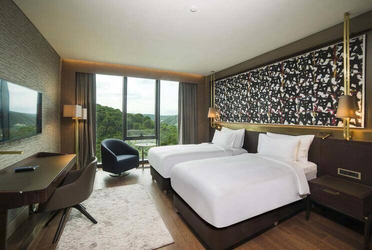 Radisson Blu Hotel Vadistanbul
