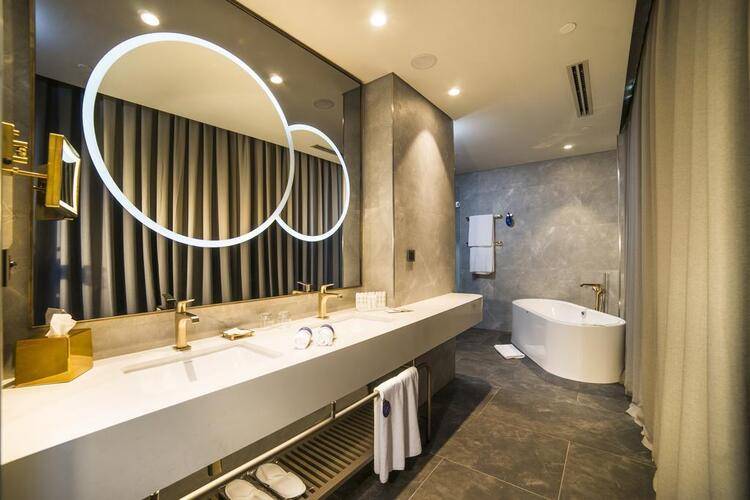 Radisson Blu Hotel Vadistanbul