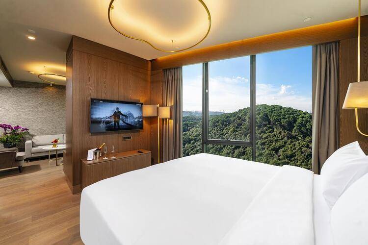 Radisson Blu Hotel Vadistanbul
