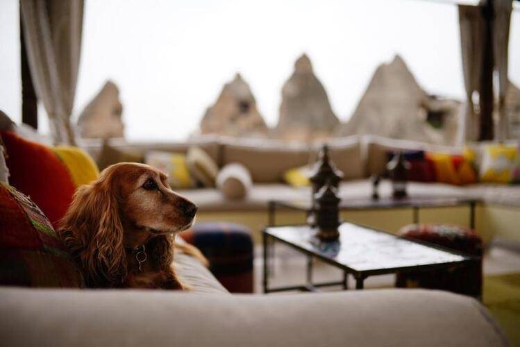 Artemis Cave Suites