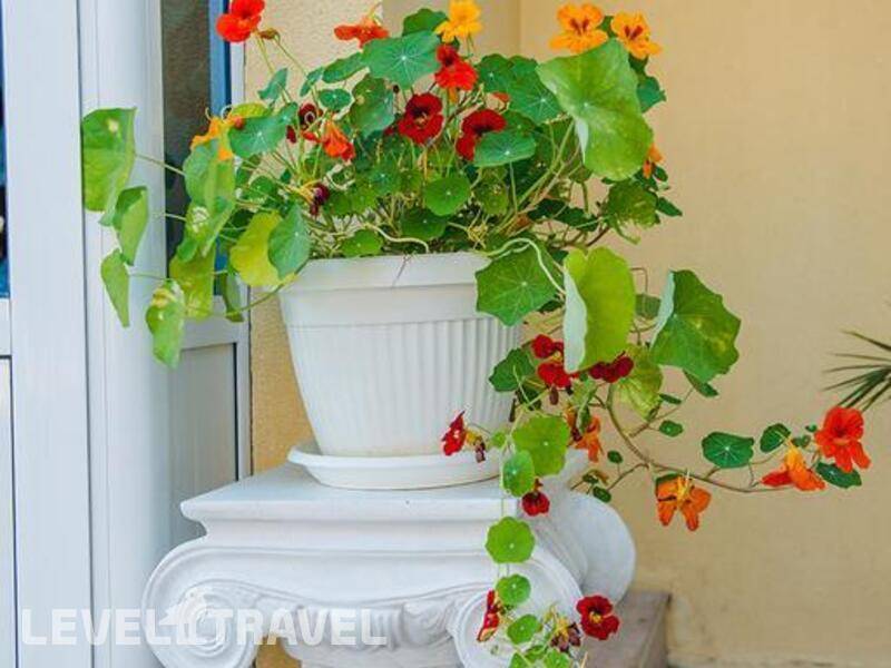 Фотография Diamond Hotel