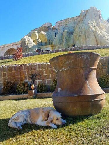 Seraphim Cave Hotel