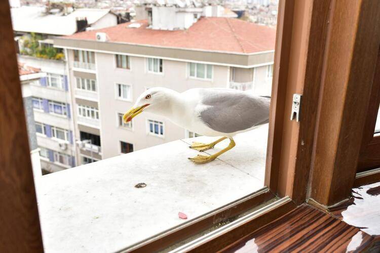 Topkapi Hotel