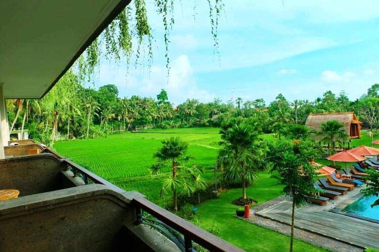 Artini Resort