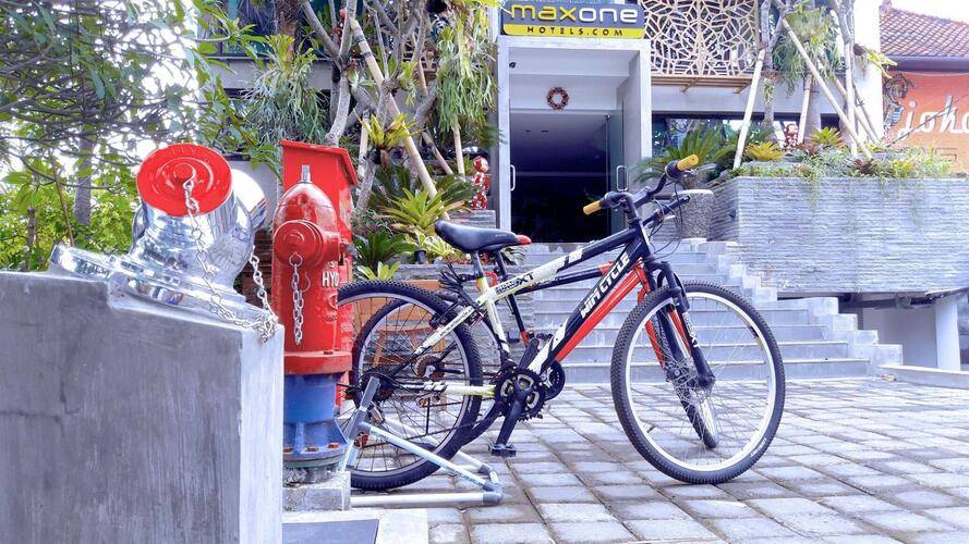 Maxone Ubud