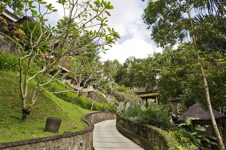 Alam Ubud