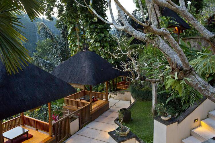 Alam Ubud
