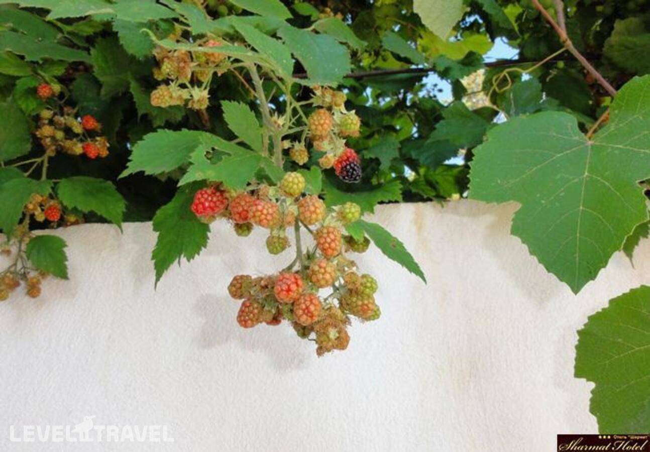 Изображение отеля 31