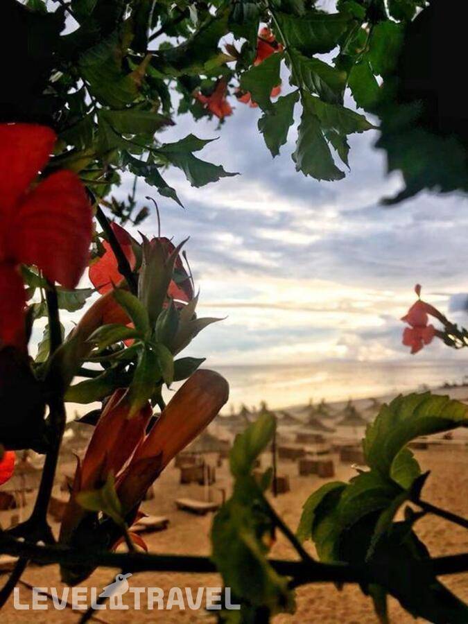 фотографии отеля Morina Palace в Албания(Влёра) - фото №14