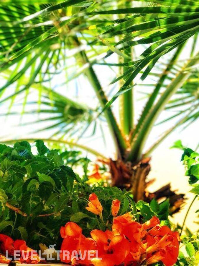 фотографии отеля Morina Palace в Албания(Влёра) - фото №15