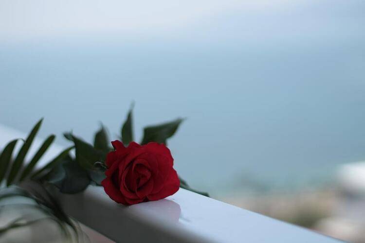 Monica Hotel Nha Trang