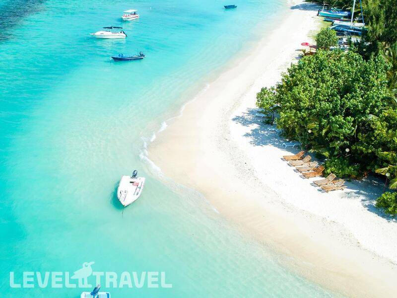 Фотография Season Paradise
