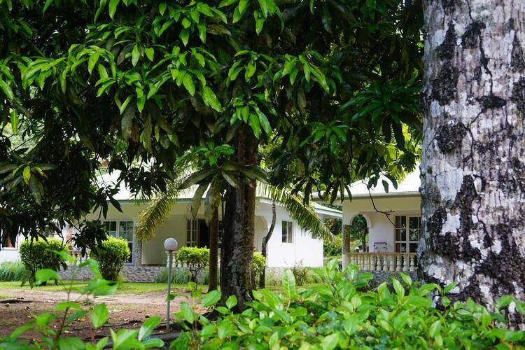 Chalets Bamboo Vert