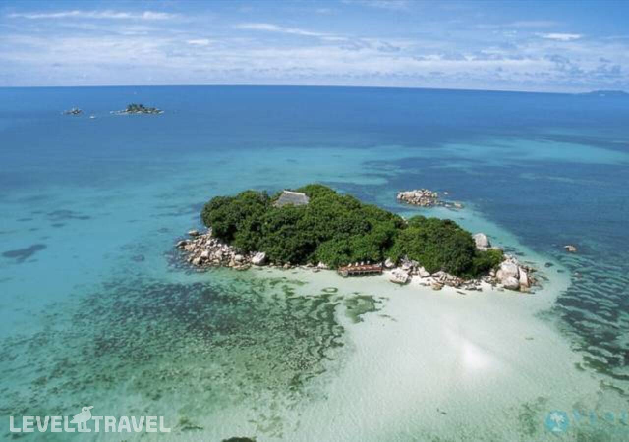 фотографии отеля Chauve Souris (Adults Only 12+) в Сейшелы(о. Праслен) - фото №9