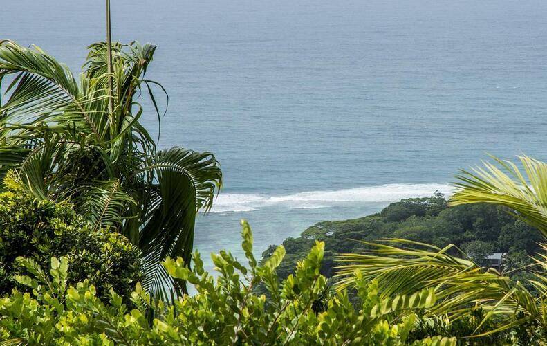 Tropical Hideaway