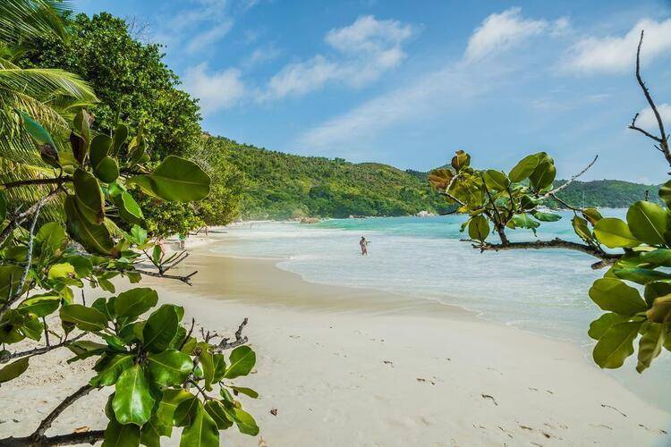 Tropical Hideaway