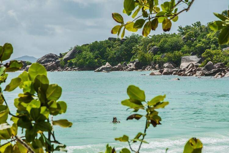 Tropical Hideaway