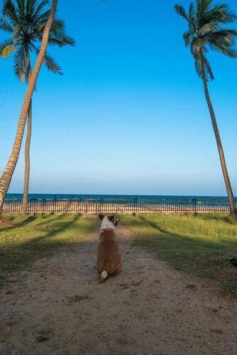 Kottukal Beach House By Jetwing